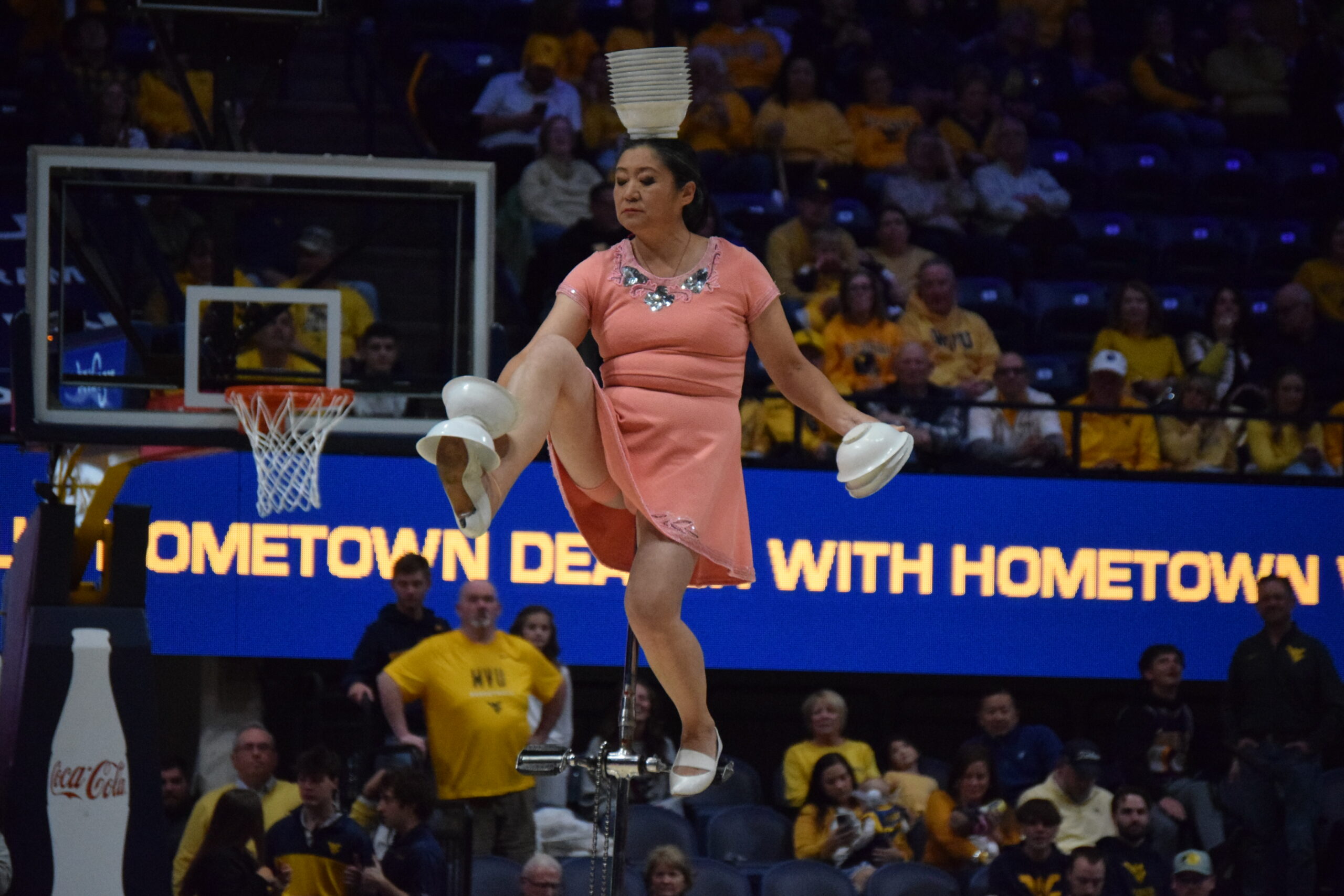 Red Panda at Hope Coliseum