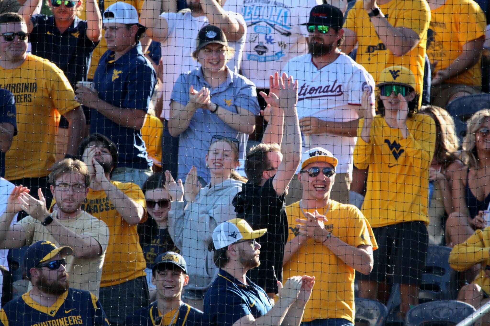 WVU Baseball fans